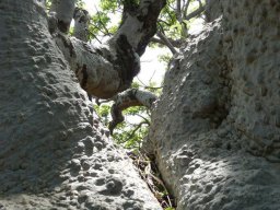 285306_10150265622144901_6304820_n